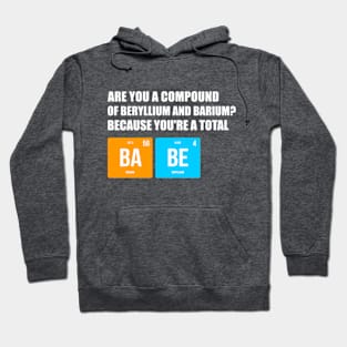 You're a Total BABE Hoodie